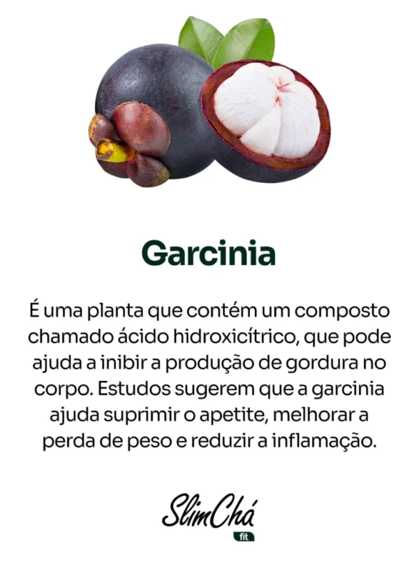 SlimChá Fit  da NutralFit! - Imagem 8